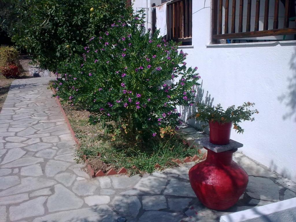 Liossis Rooms & Apartments Skopelos Zewnętrze zdjęcie